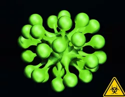 Virus