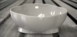 Bonsai pot