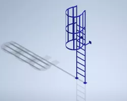 Cage Ladder