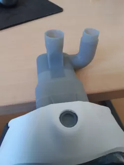 Charlotte valve Model 2