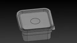 Clear Plastic Container
