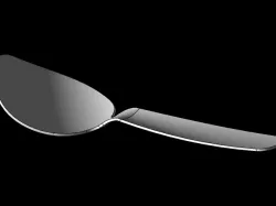 DINING SPOON
