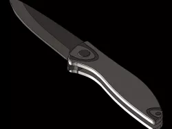 Flipper Knife