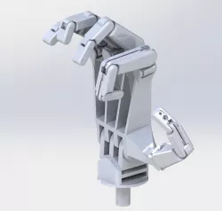 Hand Example