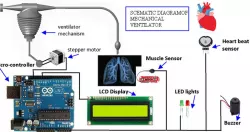 Mechanical ventilator