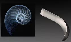 Nautilus.