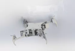 Quadruped Robot