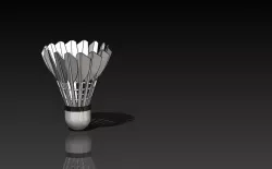 Shuttlecock