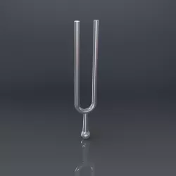 Tuning Fork