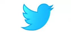 Twitter logo - blue bird - pasare albastra