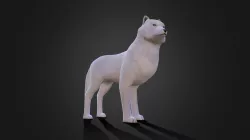 Arctic Wolf Low-poly 3D model