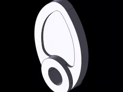 CAM