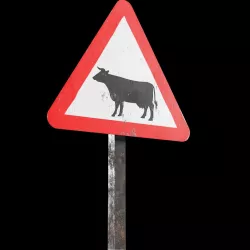 Cattle Roadsign Low-poly 3D model
