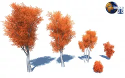 colorful trees stylize nature environment 3d model Low-poly 3D model