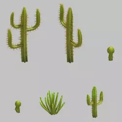 Desert Plant - Cactus 09 3D model