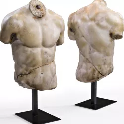DISCOPHORUS TORSO 3D model