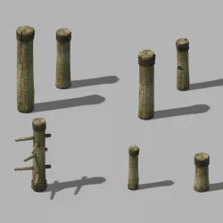 Dynasty Kung Fu - Equipment - Plum Blossoms 12 3D model