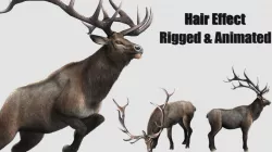 elaphurus deer buck stag reindeer doe Low-poly 3D model