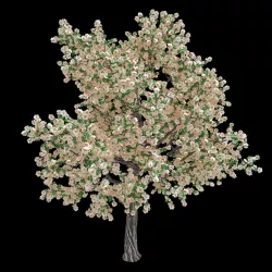 Forest - Pear - Pear Tree 3D model