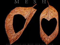 Heart Dry Leaf - Curved Low-poly 3D model
