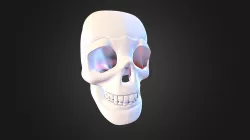 Human Skull 3D model
