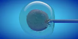 IVF cell simulation animal or human cell and needle 3D model