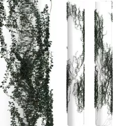 Ivy winding on a pillar 3D model