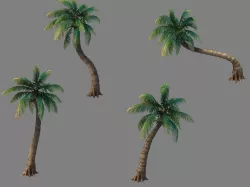 Kazlog shallow bay - tree 03 3D model