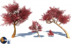 lowpoly color trees 3d model Low-poly 3D model