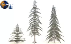 Lowpoly Conifer Trees 3D Model Low-poly 3D model