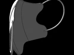 masks modelling for cornell BME1310