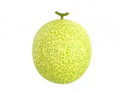 Melon Low-poly 3D model