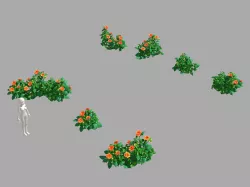 Miscellaneous Flowers - Small Flower Cluster 33 3D model