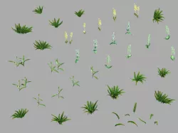 Miscellaneous Flowers - Weed 069 3D model