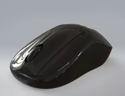 Mouse