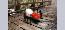 Mouse Spider Android