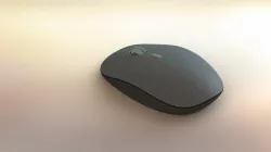 Mouse