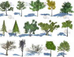 Natural Forest Trees Mega Pack Lowpoly 3d Model Low-poly 3D model