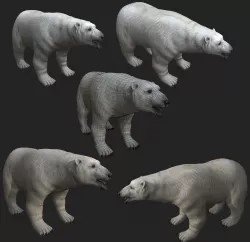 Next Gen AAA Polar Bear - high quality lowpoly game ready Low-poly 3D model