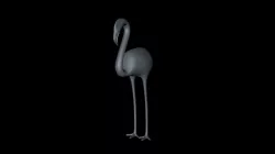 Ostrich 3D Model 3D model