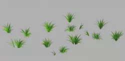Plant - Weed 66 3D model