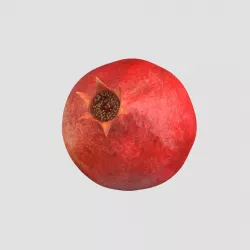 Pomegranate 3d Model 3D model