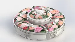 Porcelain set