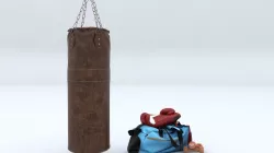 Punch Bag and Boxing Gloves 3D model