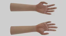 Rigged Hand With PBR Materials and Multiple Skins Low-poly 3D model
