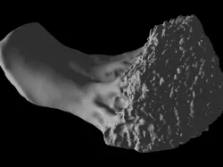 Scanned half broccoli