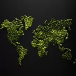 Stabilized moss - world map 3D model