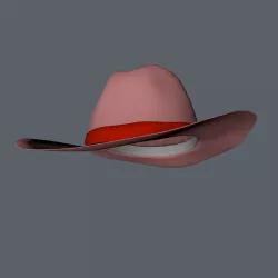 Stetson Style Western Hat  3D model