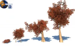 stylize color trees lowpoly 3d model Low-poly 3D model