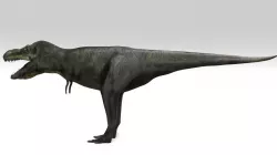 T-rex 3D model